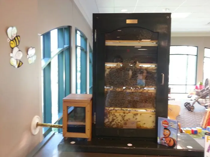 My Local Library Has Bee Hive In The Kids Section, With A Tube That Leads To The Outside