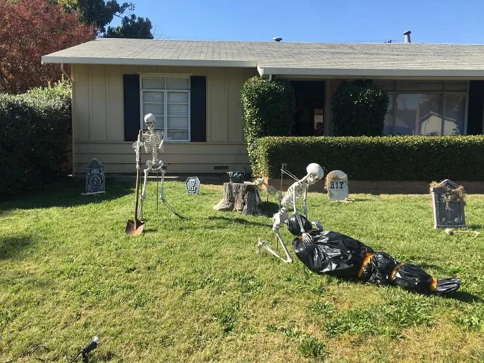 Went With A Skeleton Theme This Year