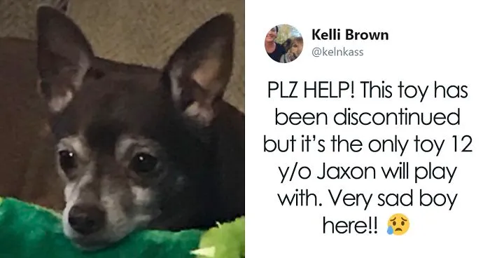 Pet Store Discontinues The Only Toy This Elderly Dog Plays With So Owner Asks Help From The Internet