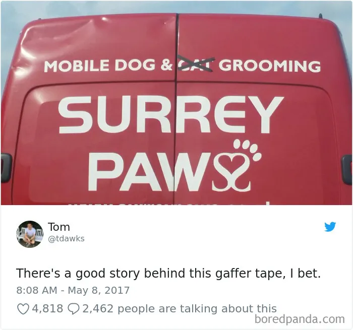 45 Of The Funniest Cat Tweets