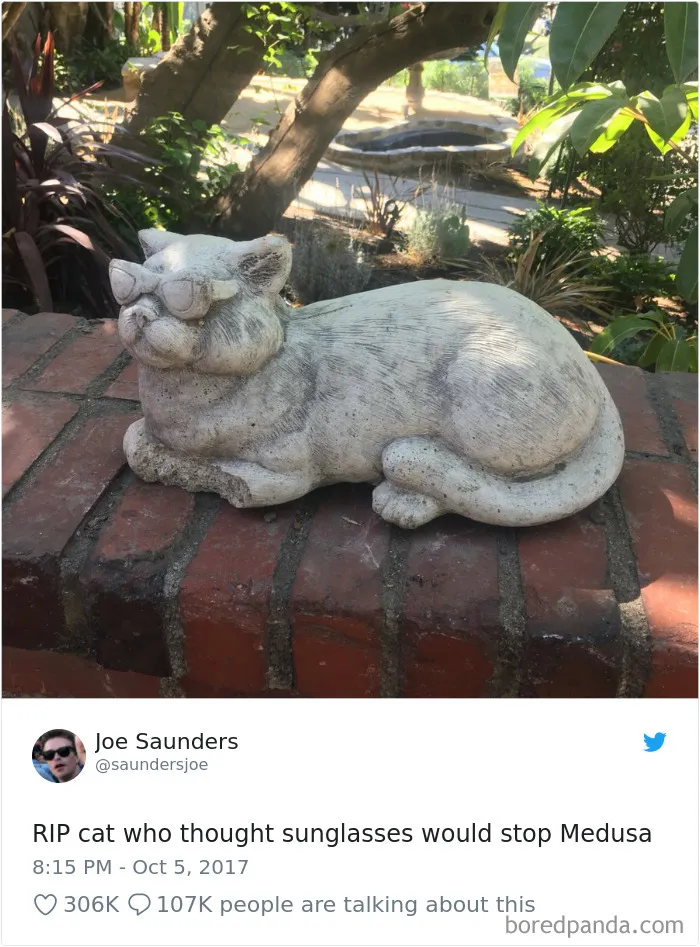 45 Of The Funniest Cat Tweets