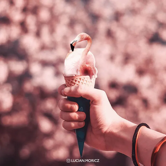 Flamingo-Cone