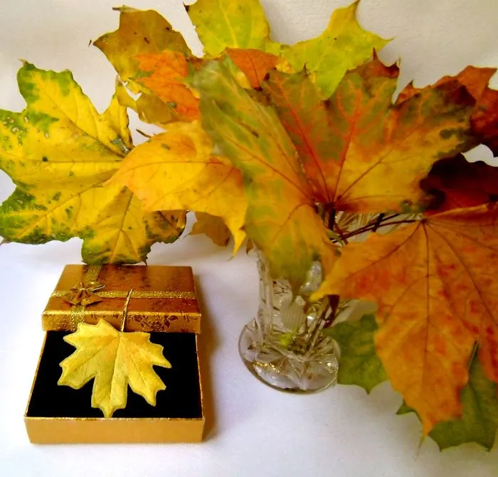 Hand Embroidered Brooch. Autumn Maple Leaf.