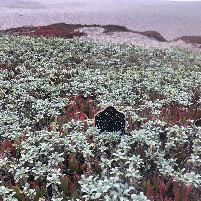 Have You Seen A Lyle In The Wild?