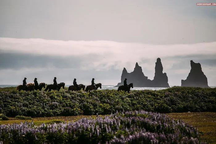 The Best Way To Celebrate A Photographer‘s Birthday Is Traveling To Spectacular Places, So I Went To The Land Of Fire And Ice
