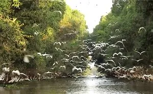 Mekong River Delta: What To See In Autumn