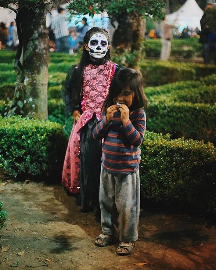 Day Of The Dead Makeup Ideas