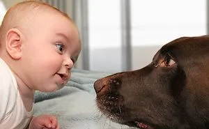 Cute Dog Trying To Talk To Baby Compilation