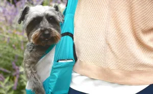 I Invented The Pocopet - The Pet Carrier That Fits In Your Pocket