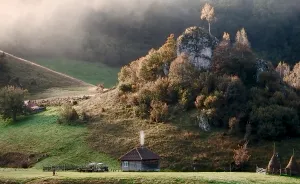 I Have Been Looking For Dracula In Transylvania, But I Found This Instead