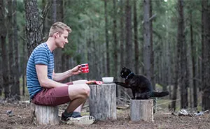 I Spent Over 3 Years Traveling With My Cat In A Campervan