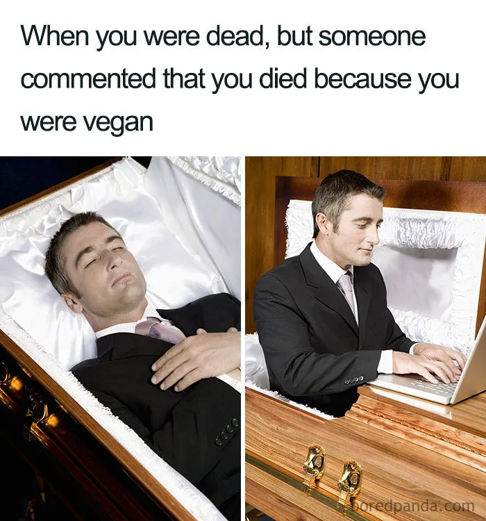 Vegan Memes