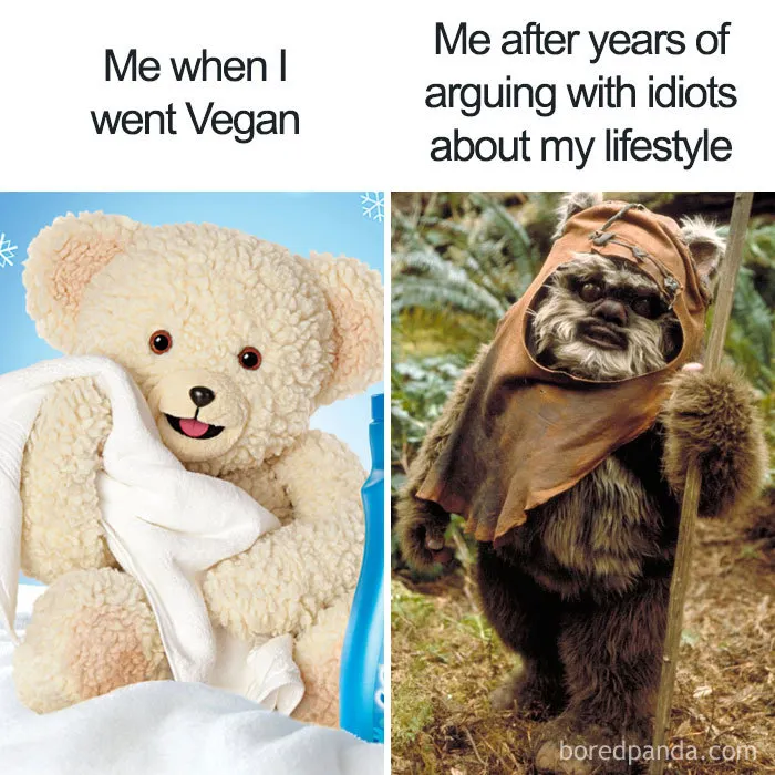 Vegan Lifestyle