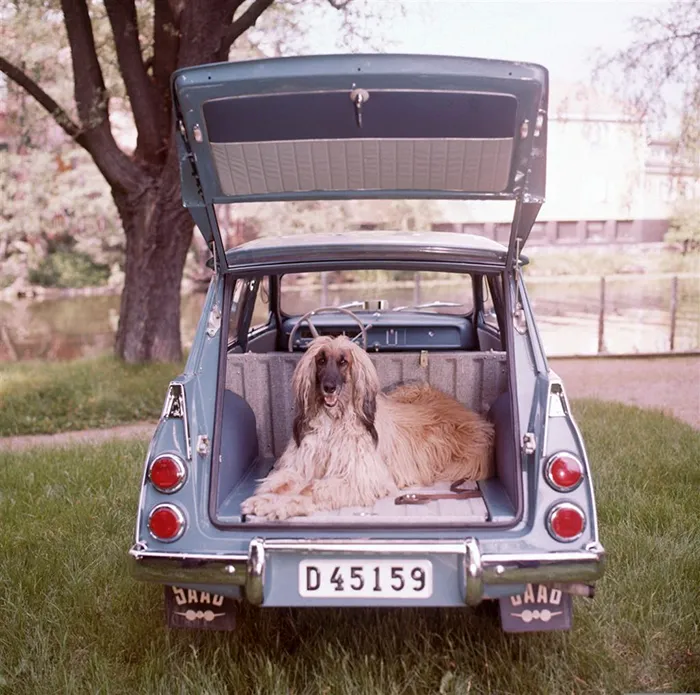 23 Photos From The 60s Prove That Station Wagons Were The Coolest Cars Ever