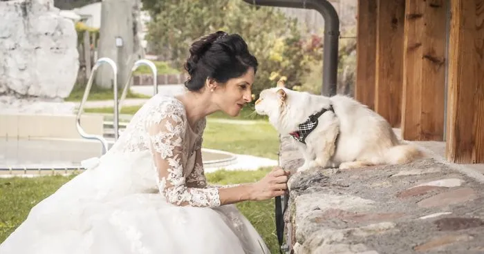 I Capture The Magical Post-Wedding Moments Of Newly-Weds And Their Cats (Part 2)