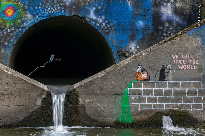 "Pescador de ciudad", Felix Heintzenberg, Alemania / Suecia