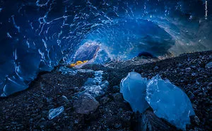 93 Of The Best Wildlife Photos Of 2018 (WARNING: Some Images May Be Too Brutal)