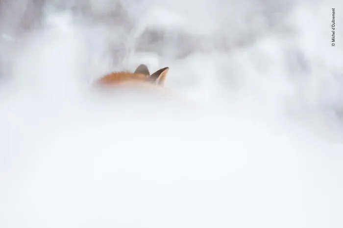 Michel D’oultremont, Belgium, Winner 2018 Rising Star Portfolio Award