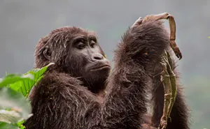 93 Of The Best Wildlife Photos Of 2018 (WARNING: Some Images May Be Too Brutal)