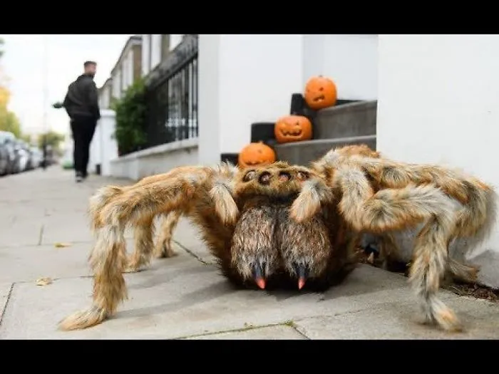 Monster Spider Halloween Prank In London