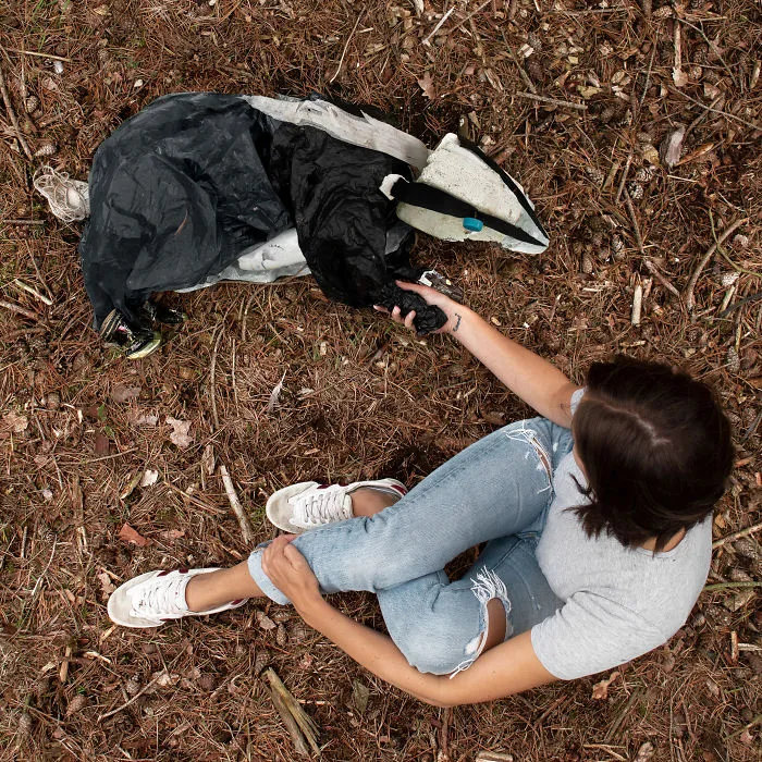 I Create Animal Sculptures From Litter That I Find
