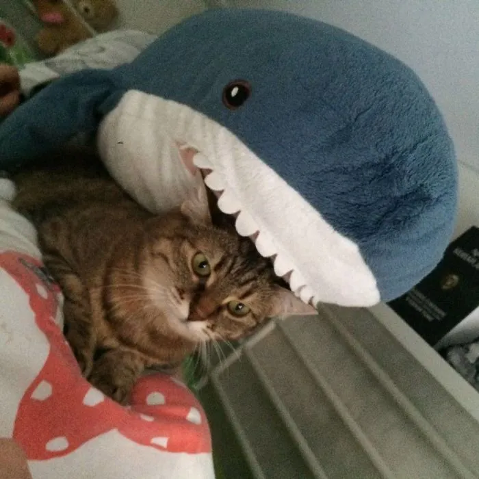 IKEA Released An Adorable Plush Shark And People Are Losing Their Minds Over It