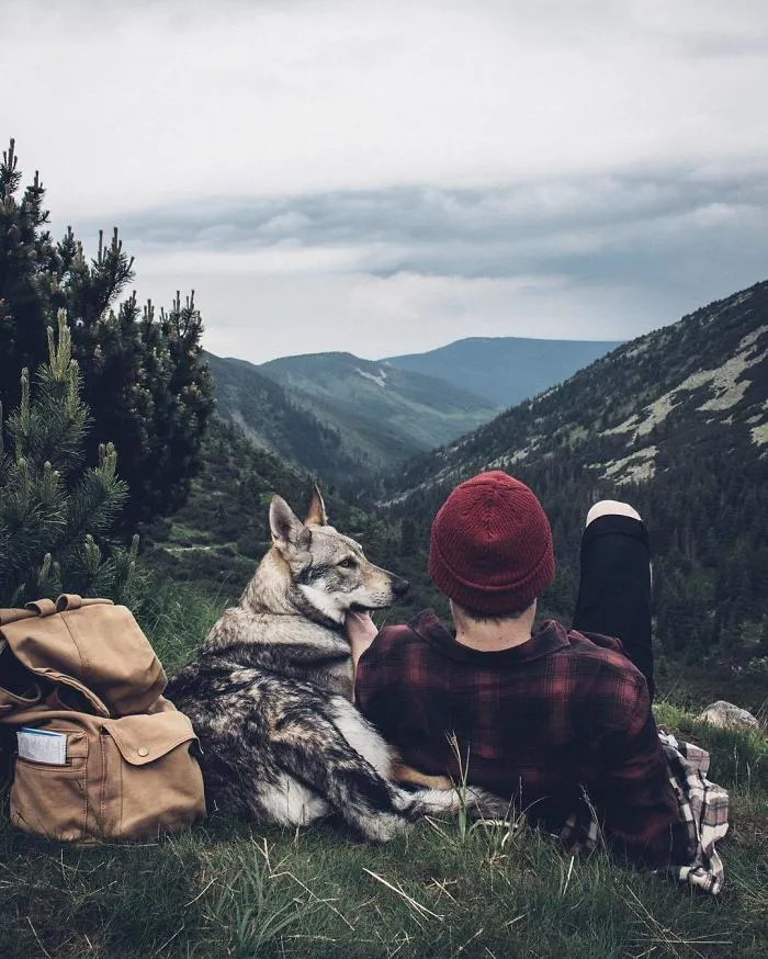 Tired Of #FollowMeTo Instagram Pics? This Guy Pets His Dog Everywhere He Goes, And It’s 36 Times Better
