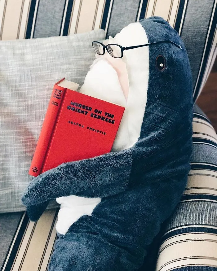 10+ Fotos que demuestran que este tiburón de peluche de IKEA se ha vuelto una obsesión