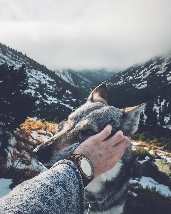 Tired Of #FollowMeTo Instagram Pics? This Guy Pets His Dog Everywhere He Goes, And It’s 36 Times Better