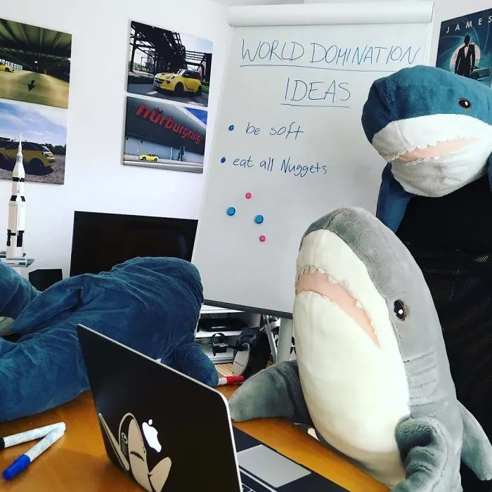 10+ Fotos que demuestran que este tiburón de peluche de IKEA se ha vuelto una obsesión