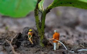 I Arrange Everyday Objects To Create Quirky Mini Worlds (30 New Pics)