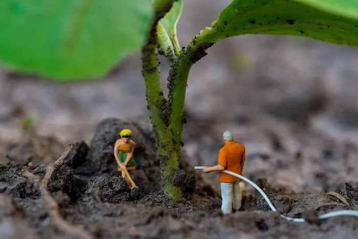 Microgardening