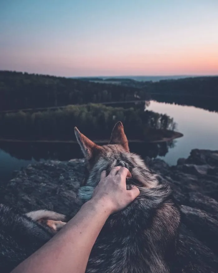 ¿Harto de las fotos de Instagram #FollowMeTo? Este hombre se lleva a su perro a dondequiera que vaya y es 1000 veces mejor