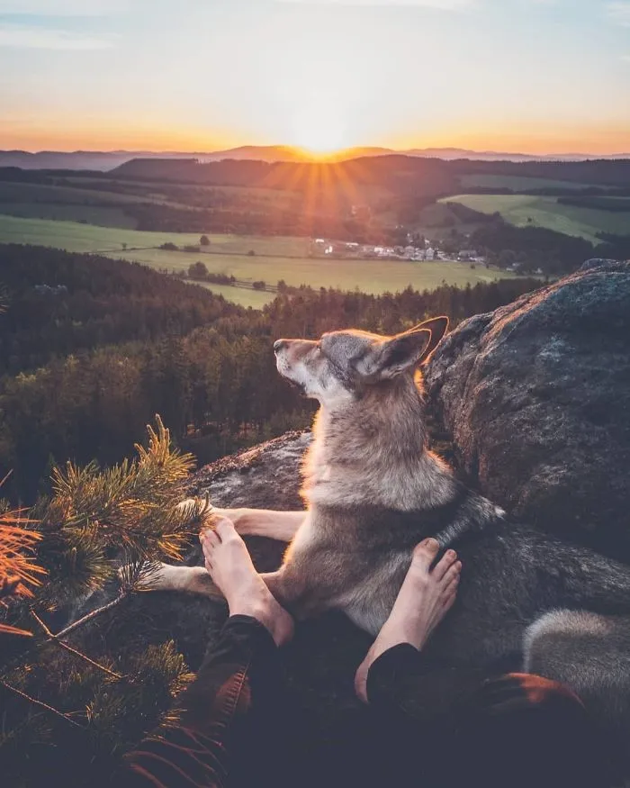 ¿Harto de las fotos de Instagram #FollowMeTo? Este hombre se lleva a su perro a dondequiera que vaya y es 1000 veces mejor