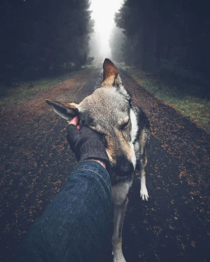 ¿Harto de las fotos de Instagram #FollowMeTo? Este hombre se lleva a su perro a dondequiera que vaya y es 1000 veces mejor