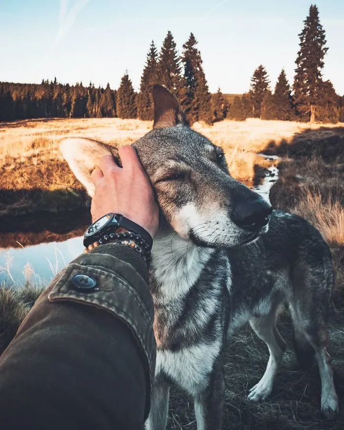 ¿Harto de las fotos de Instagram #FollowMeTo? Este hombre se lleva a su perro a dondequiera que vaya y es 1000 veces mejor