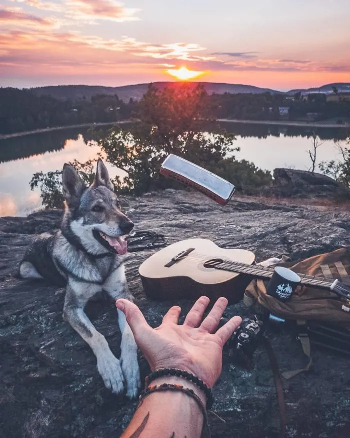 Tired Of #FollowMeTo Instagram Pics? This Guy Pets His Dog Everywhere He Goes, And It’s 36 Times Better
