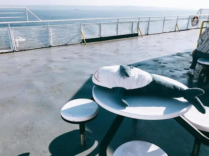 IKEA Released An Adorable Plush Shark And People Are Losing Their Minds Over It