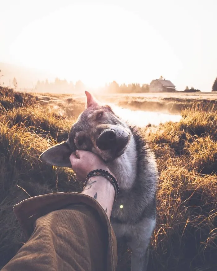 ¿Harto de las fotos de Instagram #FollowMeTo? Este hombre se lleva a su perro a dondequiera que vaya y es 1000 veces mejor