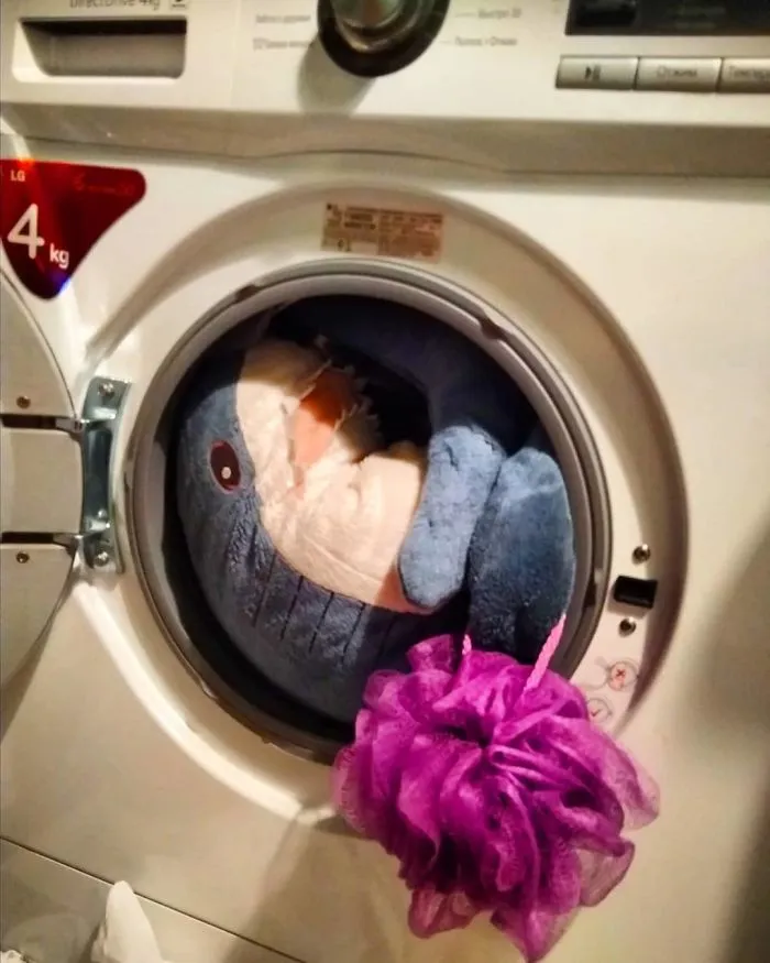 10+ Fotos que demuestran que este tiburón de peluche de IKEA se ha vuelto una obsesión