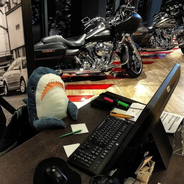 10+ Fotos que demuestran que este tiburón de peluche de IKEA se ha vuelto una obsesión