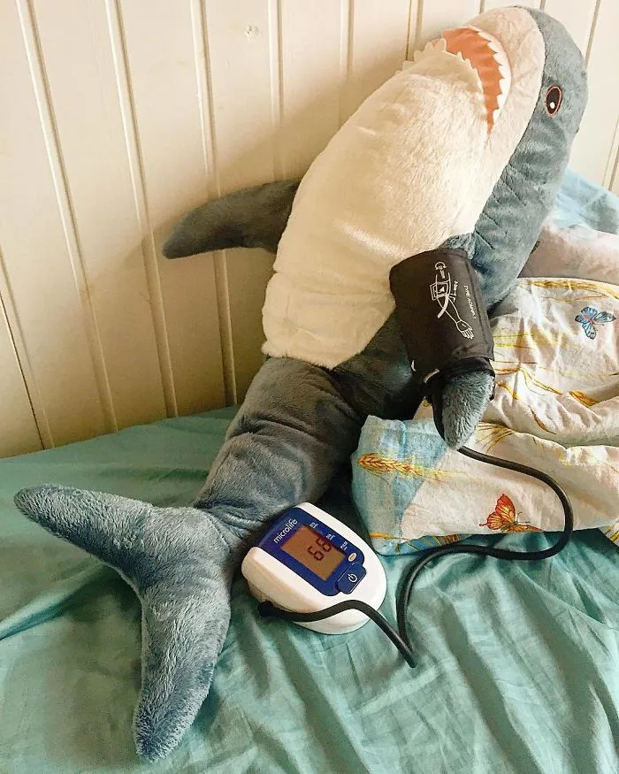 10+ Fotos que demuestran que este tiburón de peluche de IKEA se ha vuelto una obsesión