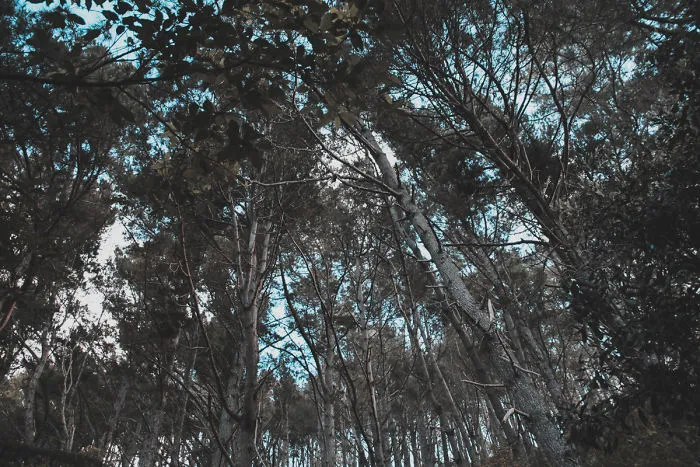 I Captured The Breathtaking Beauty Of The Coromandel