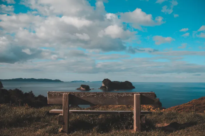 I Captured The Breathtaking Beauty Of The Coromandel