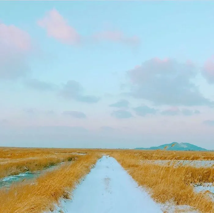 21 Minimalist Photos By BTS's V