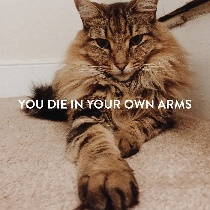 I Take Photos Of Your Pets To Remind You That We're All Gonna Die