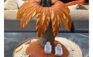 Happy Halloween From Florida