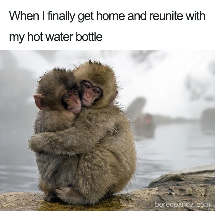 Two monkeys hugging by a hot spring, relating to "when she's on her period" humor.