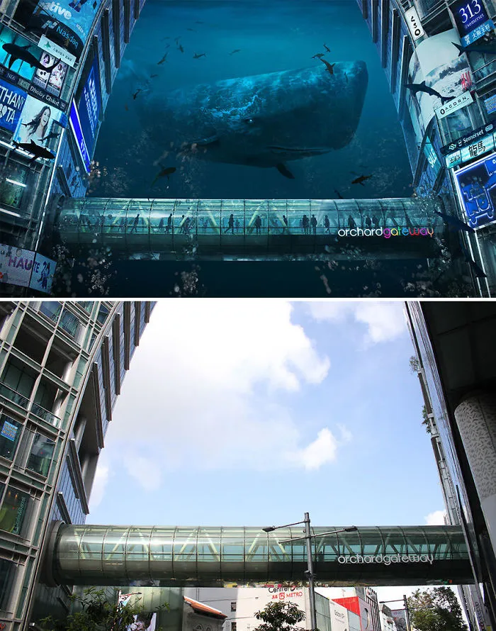 I Turned Singapore Into An Underwater Haven