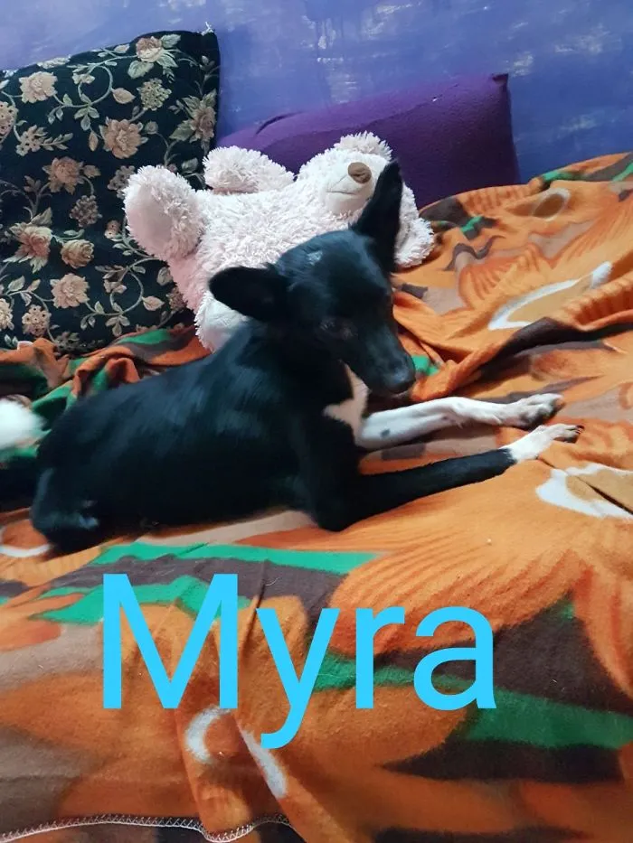 Urgent Adoption In Mumbai
